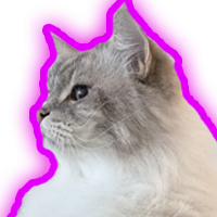 1 month member badge