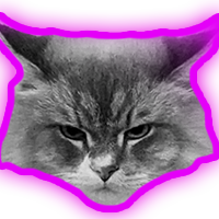 New member badge